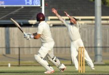 Straker spins a web through