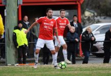 Doves off to a flyer