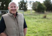 Village food and wine feast