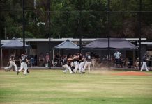 A perfect Puma premiership