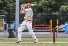 Wallace ton lifts Swans