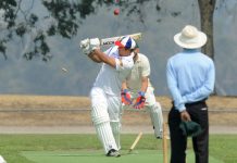 Bullants make the finals cut