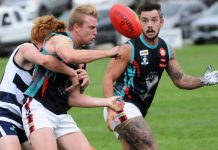 Cobras continue unbeaten start