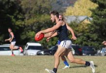 Dogs and Wickers put on show