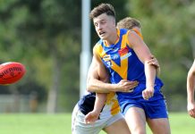 Revitalised Eagles start brightly