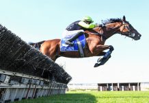 Goodwood Zodiac storms home