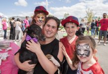 Pet adoption day promises to be pawsome