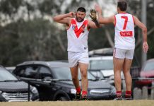 Holt sinks Pearcedale