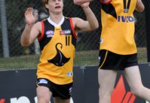 Rays setting the pace