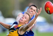 Eagles stun the Dogs