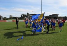 ‘Kitty’ purrs her way to 300 games