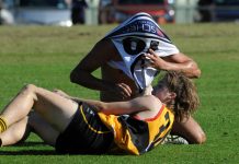 Stingrays suffer first loss