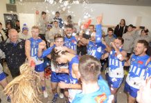 Kangaroos with three straight