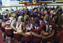 Lions in dominant touch