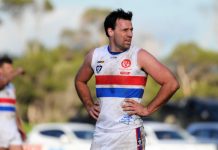 Stars rise above ducks and drakes