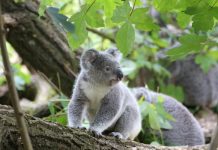 Teenagers are set these school holidays