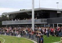 A game-changing proposal for the local landscape