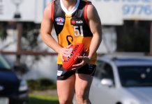 Top prospect stars for Stingrays