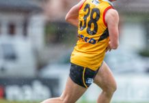 Rays blown away by Cannons