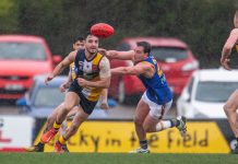 Beacy passes its test