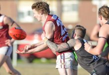 Lions send a statement