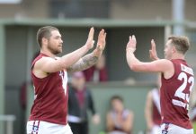 Doves seperate from the pack