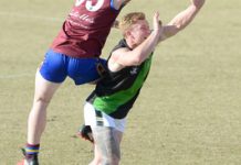 Hawks and Lions cement themselves