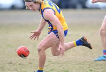 Disappointing Panthers drop away