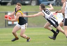 The leaders of the pack