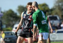 Can the Gulls strike twice?