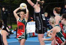 Seagulls soar into grand final