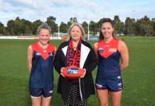 Upgrades set for Casey Fields