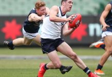 Flanders destined to flourish