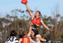 Crows continue their stunning surge