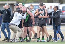 Henwood’s love of the Doves