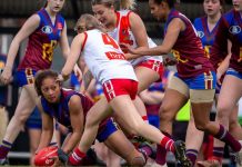 Lions fall short at the final hurdle