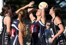 Magpies to face Seagulls in grand final