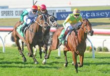 Local lad claims the cup