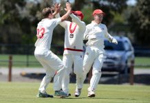 Swans looking for improvement across the board