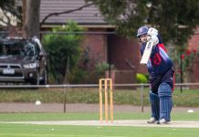 Panthers are sitting pretty