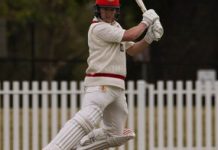 Swans rack up big total