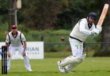 Demons and Bulls, head-to-head