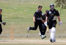 The Dingoes surge clear