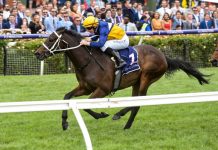 Savvy investment pays