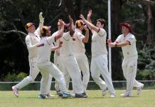 The bowlers lead the way