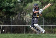 Dominant Dingoes surge clear