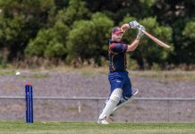 Senior steers Lions to big win