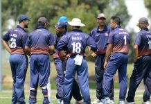 Dingoes suffer shock loss