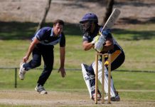 The Lions are roaring