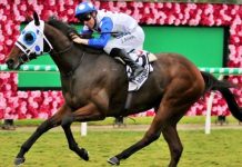 Be quick to help local hope